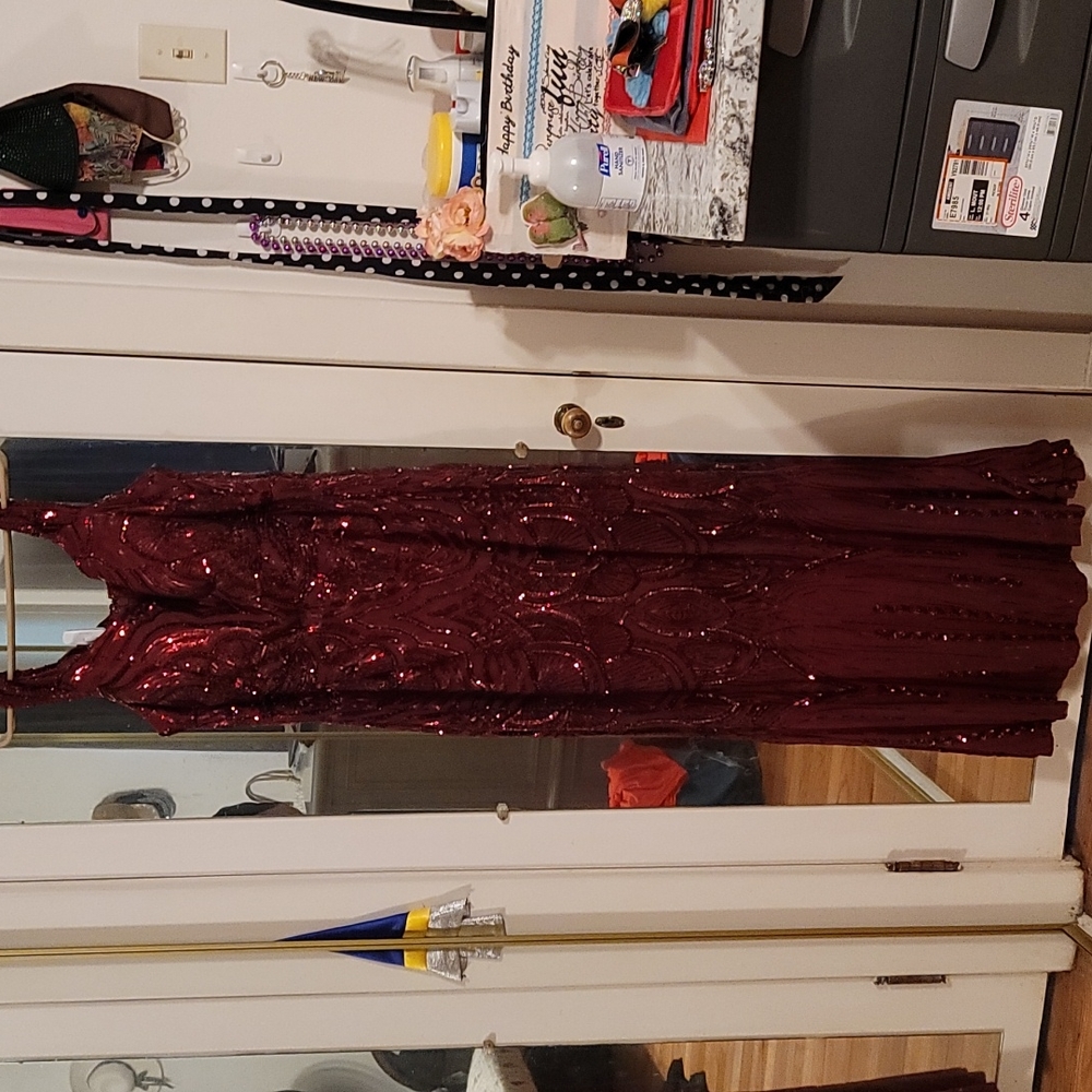 3x Ricaria sequined gown